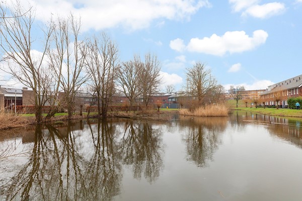 De Wetstraat 107_39.jpg